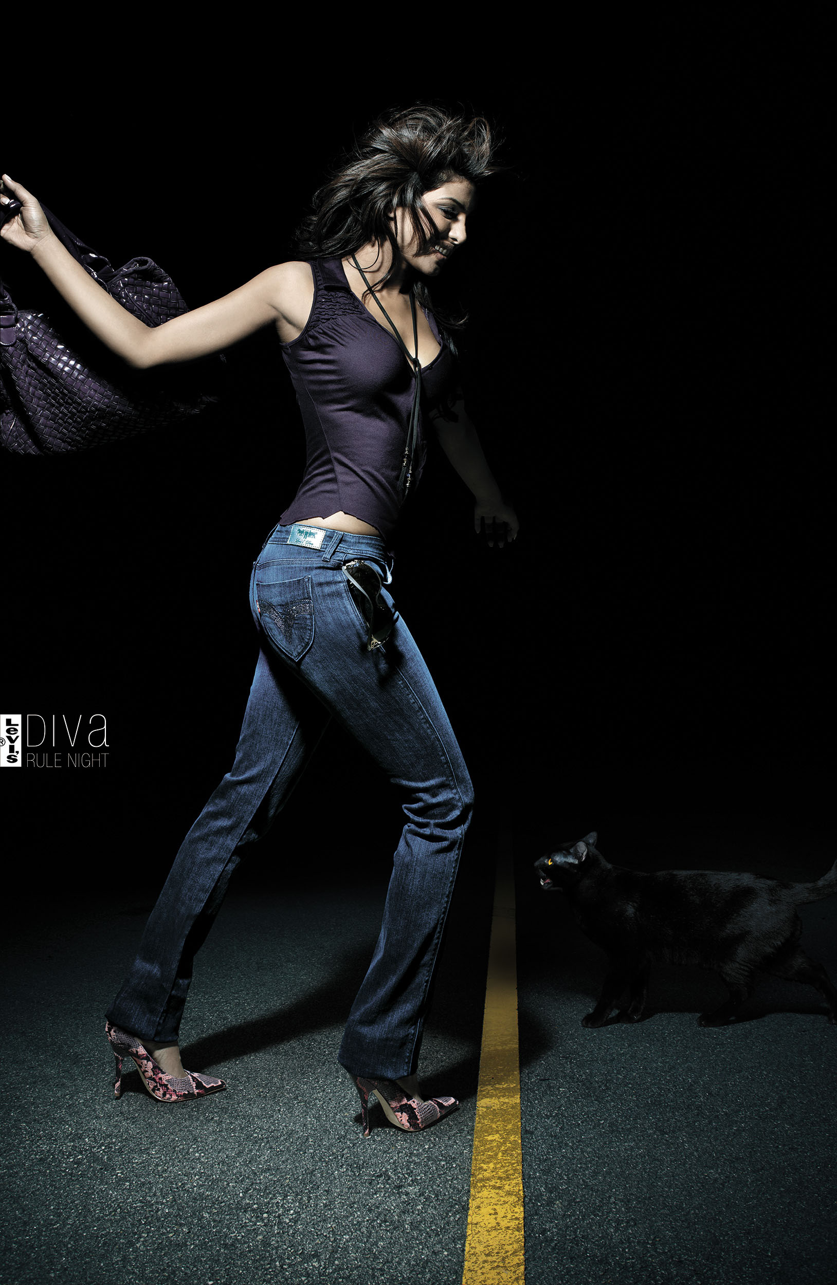 Levis---Diva-cat-2